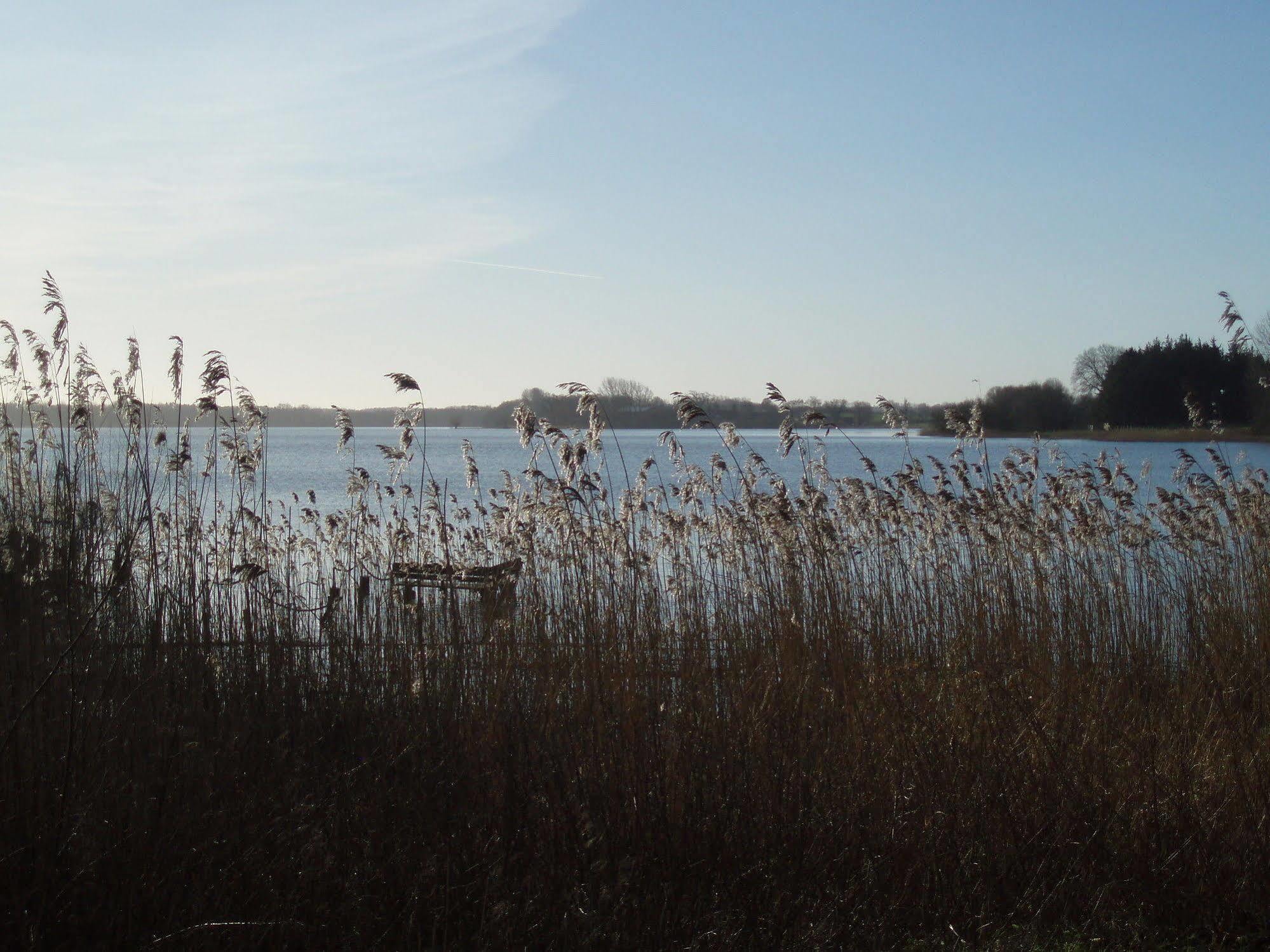 Fischerwiege Am Passader See エクステリア 写真
